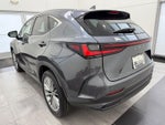 2022 Lexus NX 350h Luxury