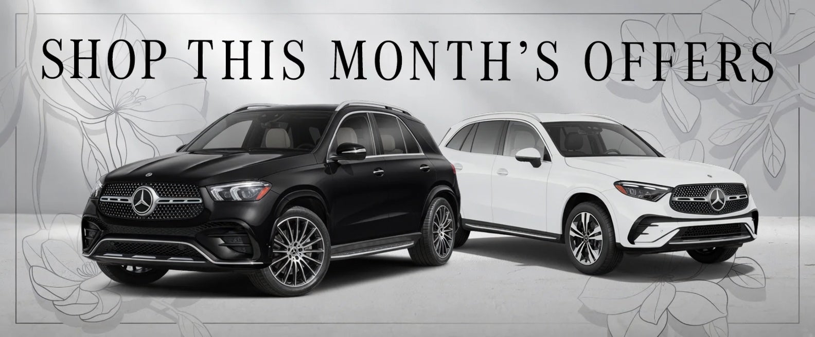 Browse this month's offers