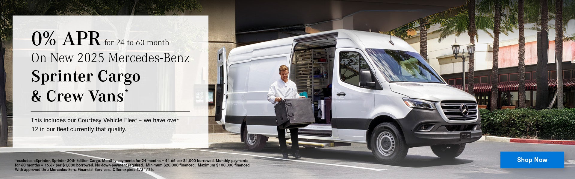 2025 Mercedes Benz Spring Cargo and Crew Vans